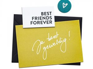 Lief voor elkaar - Wenskaart set - 'Love' - Wenskaart + mini + sticker - Love Best friends forever, je bent geweldig!