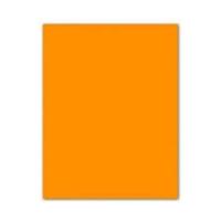 Fiches Iris Oranje 50 x 65 cm