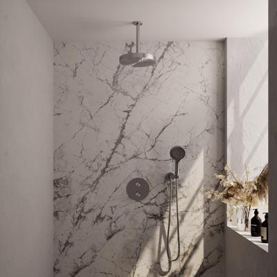 BRAUER Stripe Thermostatische Inbouw Regendouche - 3-weg - rond - SET 42 - 25cm douchekop - plafondarm - 3-standen handdouche - doucheslang - wandaansluitbocht - RVS-kleurig geborsteld PVD 5-NG-447