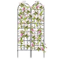 Rankgitter Metaal 2-delige set Decoratieve Tuinhek Vrijstaande Klimsteun Spaliere tuin om in de Grond te Steken Zwart 220 x 50 cm