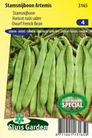 Stamsnijboon zaden Artemis