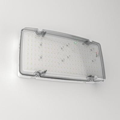 Salus Max LED Noodverlichting met Accu - Instelbaar wattage 6W/10 Watt 1000lm/1500 lumen - IP66 Waterdicht - IK08 vandalismeproof - 3 uur Noodaccu - Autotest functie