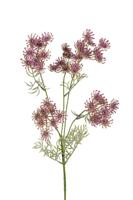 Wildwortel l80cm lila kunstbloem Louis Maes - Louis maes
