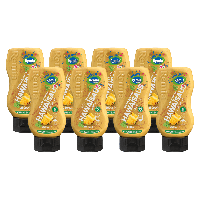 Remia hawaisaus (8x 250ml)