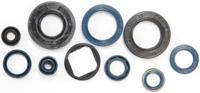 ATHENA Motorshield mito 125/6 speed/eu2-3 ATHENA Motorshield mito 125/6 speed/eu2-3