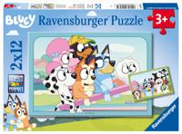 Ravensburger puzzel 2x12 stukjes bleuy