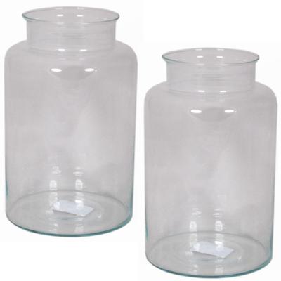 Vaas melkbus - 2x - smalle hals - glas - transparant - 19 x 35 cm - Bloemenvazen
