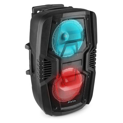 Fenton FT208LED mobiele party speaker microfoon 2x 8 inch