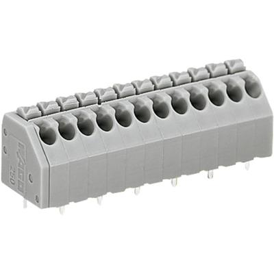WAGO 250-204 Veerkrachtklemblok 1.50 mm² Aantal polen 4 Grijs 1 stuk(s)