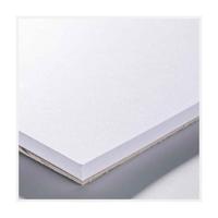 Talens bristol papier a4 246 g/m2 20 vellen