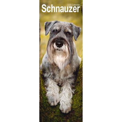 Schnauzer Kalender 2026 Slimline