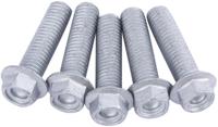TRW Screw set 5pcs. m8x1,25