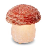 Himalaya Salt Dreams Zoutlamp Paddenstoel