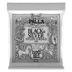 Ernie Ball P02406 snaar voor muziekinstrumenten Akoestisch 6 stuk(s) Nylon Gitaar