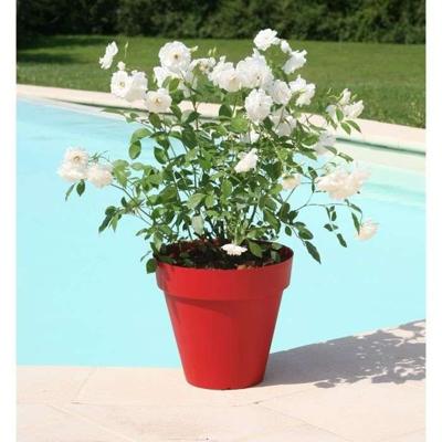 RIVIERA Soleilla Bloempot - Rond - Ø 39,2 x 35,8 cm - Rood