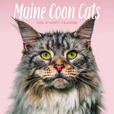 Maine Coon Kalender 2026 Maine Coon Kalender 2026