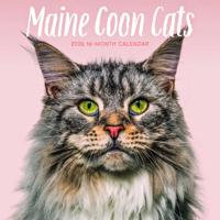 Maine Coon Kalender 2026