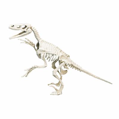 Clementoni wetenschap & spel archeospel velociraptor