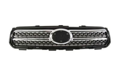 Radiateurgrille 6502078179991P
