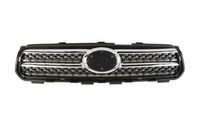Radiateurgrille 6502078179991P