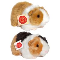 Knuffeldier Cavia set 2x stuks - zachte pluche - premium knuffels - multi kleuren - 20 cm - thumbnail