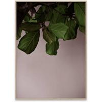 Paper Collective Poster Norm Architects Green Leaves 30x40 - thumbnail