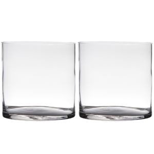 Set van 2x stuks transparante home-basics cylinder vorm vaas/vazen van glas 19 x 19 cm