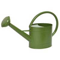 Decoris Gieter - voor binnen/buiten - groen - zink - 5 liter - voor binnen/buiten