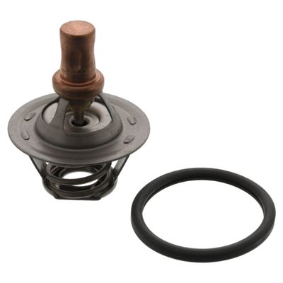 Thermostaat 09335