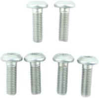 TRW Screw set 6pcs. m8x1,25