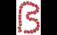 Bloemenstreng Basil Fuchsia