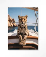 Sailboat Cheetah