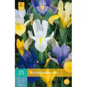 25 Iris Hollandica Mix