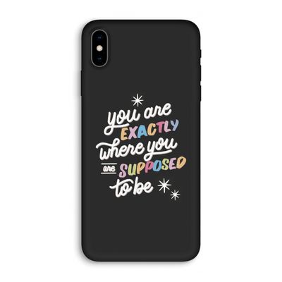 Right Place: iPhone XS Max Biologisch afbreekbaar hoesje