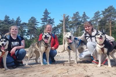 High Tea tussen de Husky's - avontuur én ontspanning in één! High Tea tussen de Husky's - avontuur én ontspanning in één!