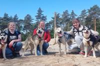 High Tea tussen de Husky's - avontuur én ontspanning in één!