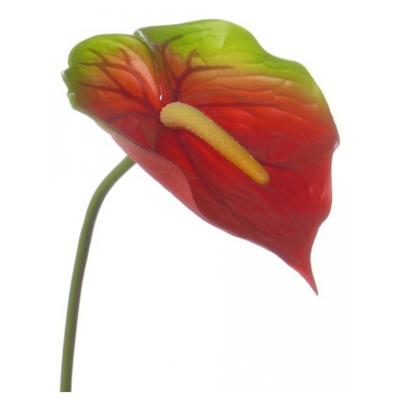 Bellatio flowers & plants Anthurium kunstbloem tak - 4x - rood met groen - 78 cm - stelen