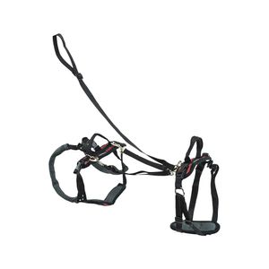 Petsafe Carelift Support Harness Complete - Small (rood)