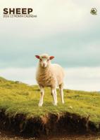 Schapen A3 Kalender 2026
