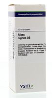 Ribes nigrum D6