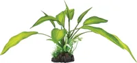 Superfish Artplant 25cm cryptocoryne 1Stuk