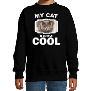 Britse korthaar katten trui / sweater my cat is serious cool zwart voor kinderen