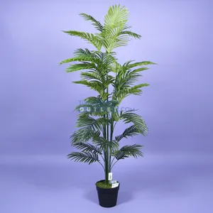 Areca palm - 160 cm