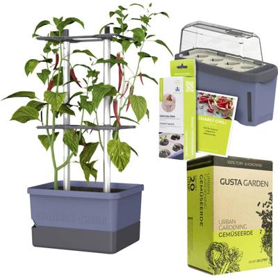 Gusta Garden Chili-Starter-Set 5-teilig blau CHARLY CHILI / HARRY HERBS / Zubehör / W07084 Plantcontainer