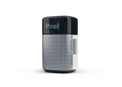PinellNorth Hybride radio Wit