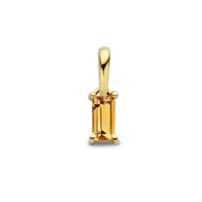 14K Geelgouden Hanger November Geboortesteen 9mm