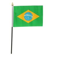 Brazilie - mini vlaggetje van 10 x 15 cm op stokje - Landen vlag - H27 cm