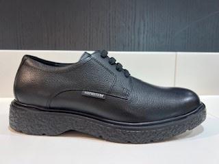 Mephisto Eddy