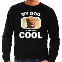 Honden liefhebber trui / sweater Franse mastiff my dog is serious cool zwart voor heren