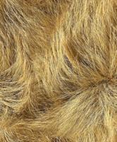 Noordwand Textura Behang met duingras - 1545769